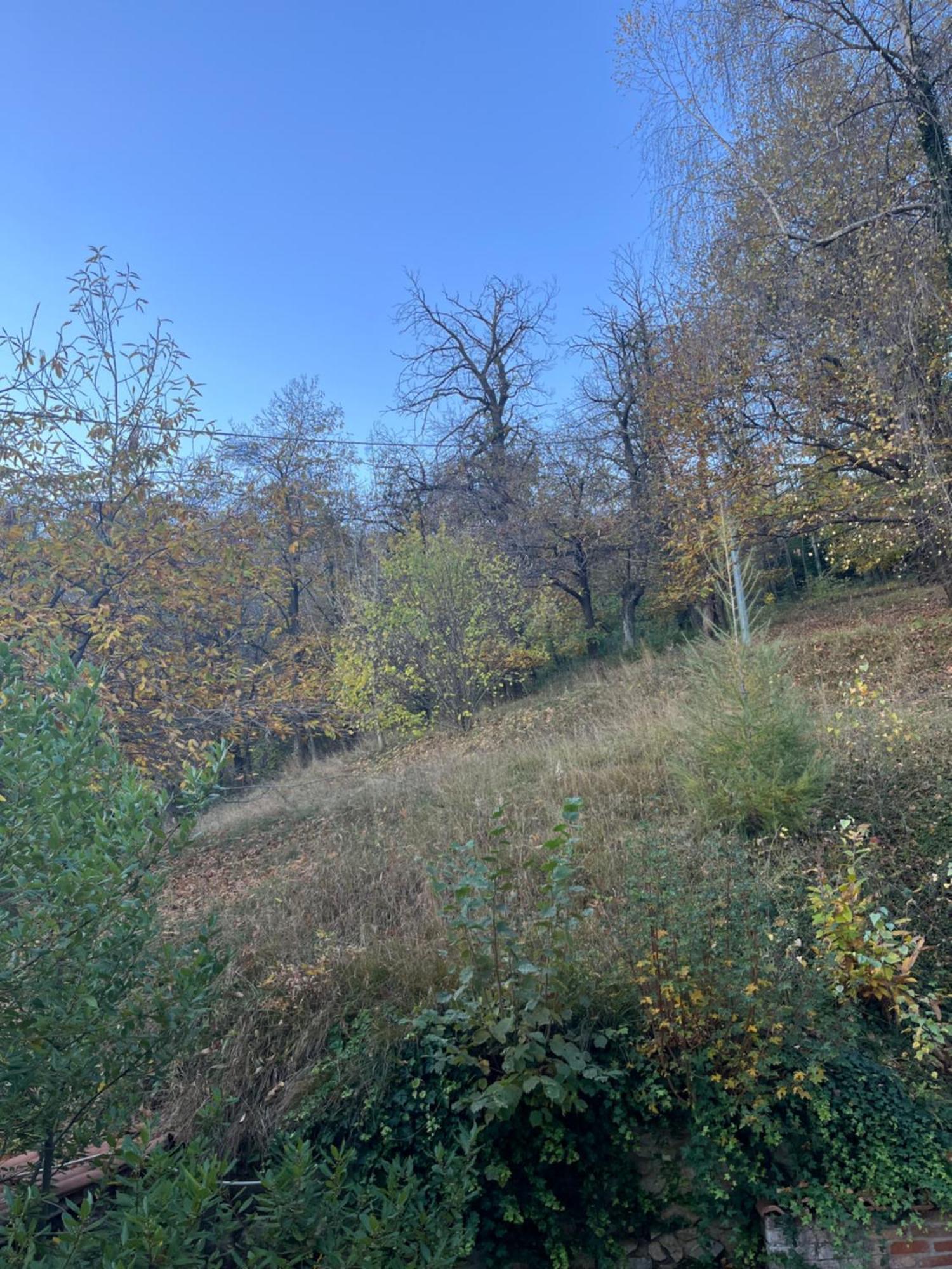 Il Bosco Incantato Borgo San Dalmazzo Extérieur photo